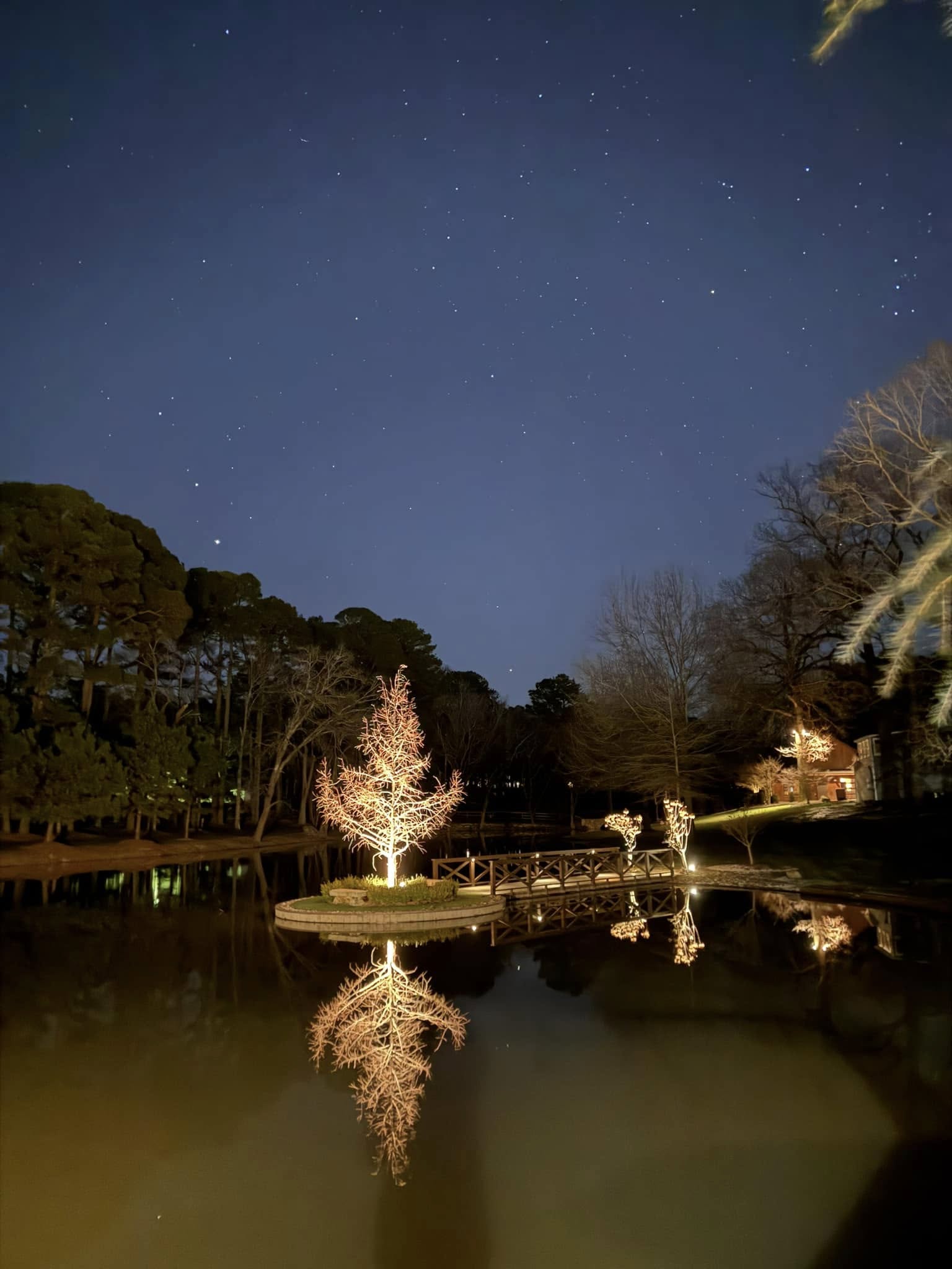Irrigation lawn trench